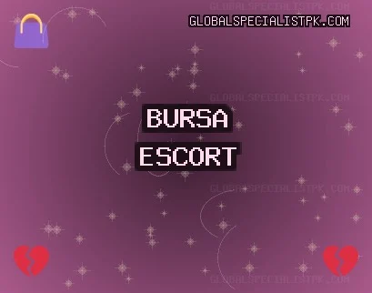 Bursa Escort: İnegöl Escort, Gürsu Escort, Nilüfer Escort